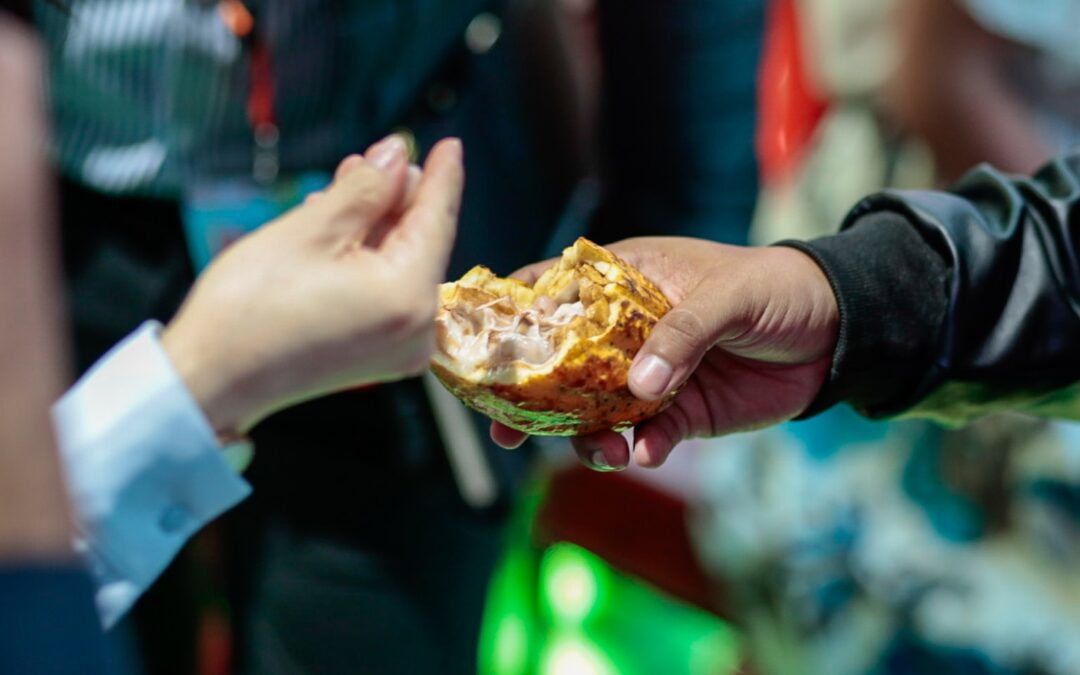 Venezuela resalta su riqueza gastronómica con degustaciones de productos IGP y DOC