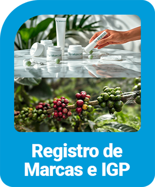Azul copia.png1